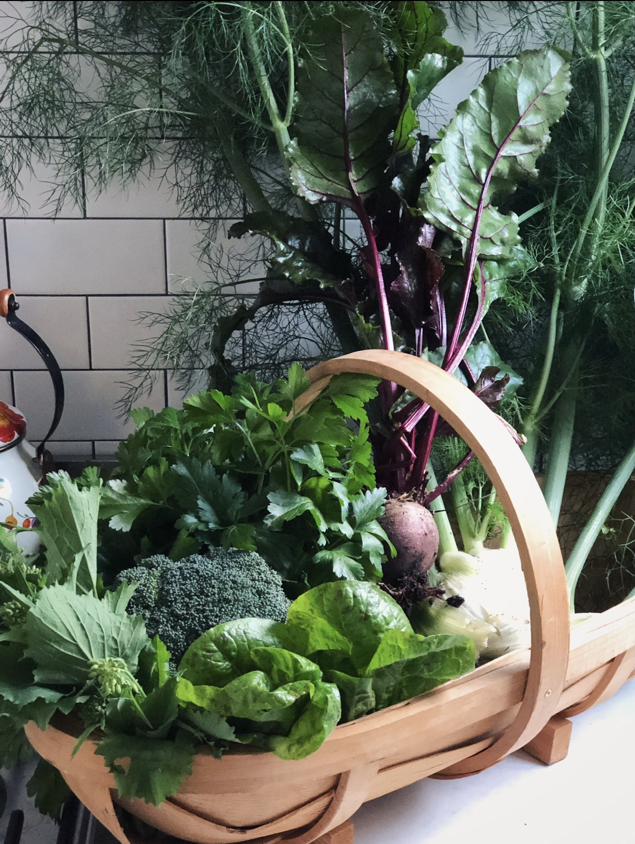 A basket of vegetables from the garden