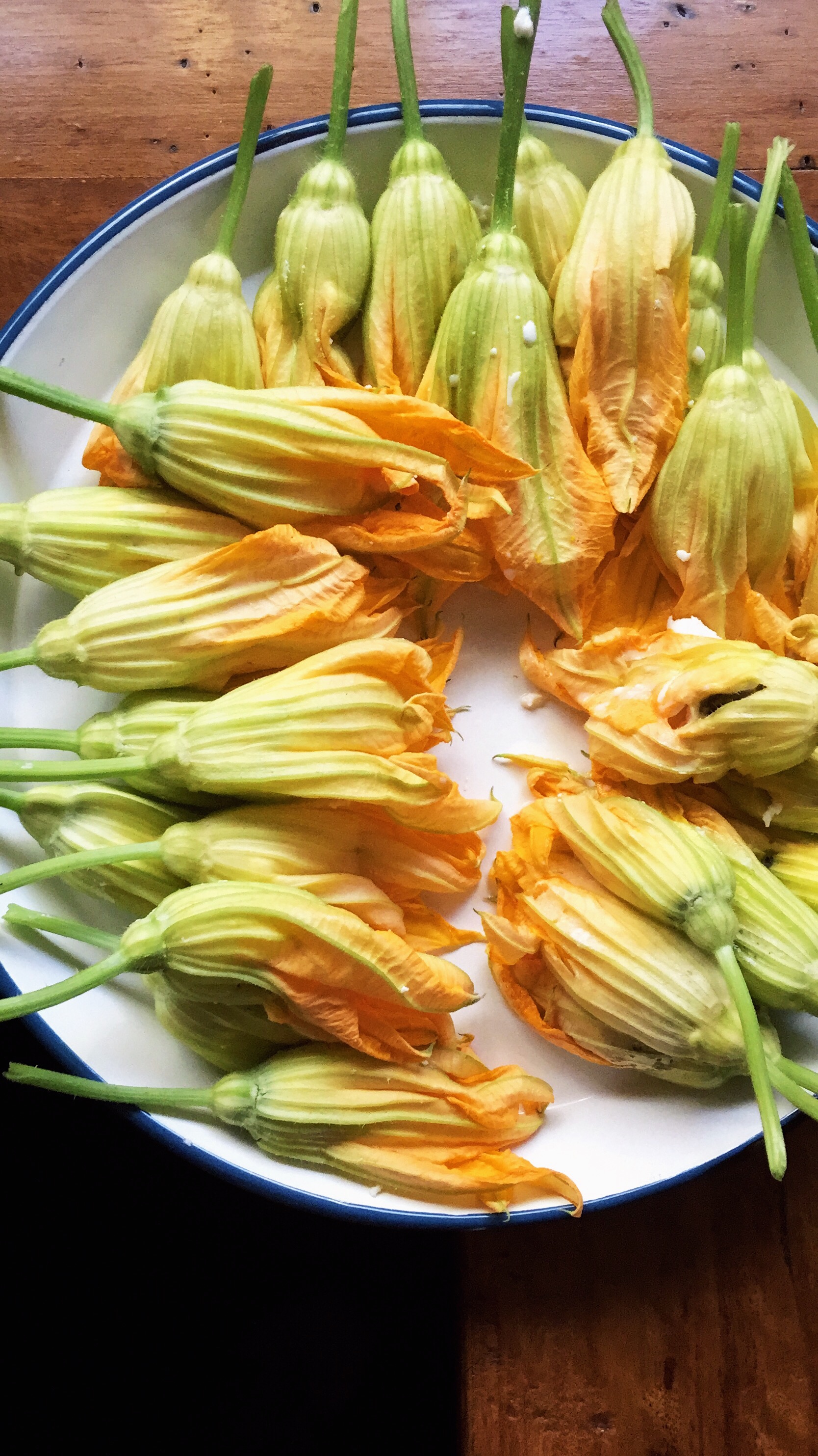 A plate of zucchini flowers