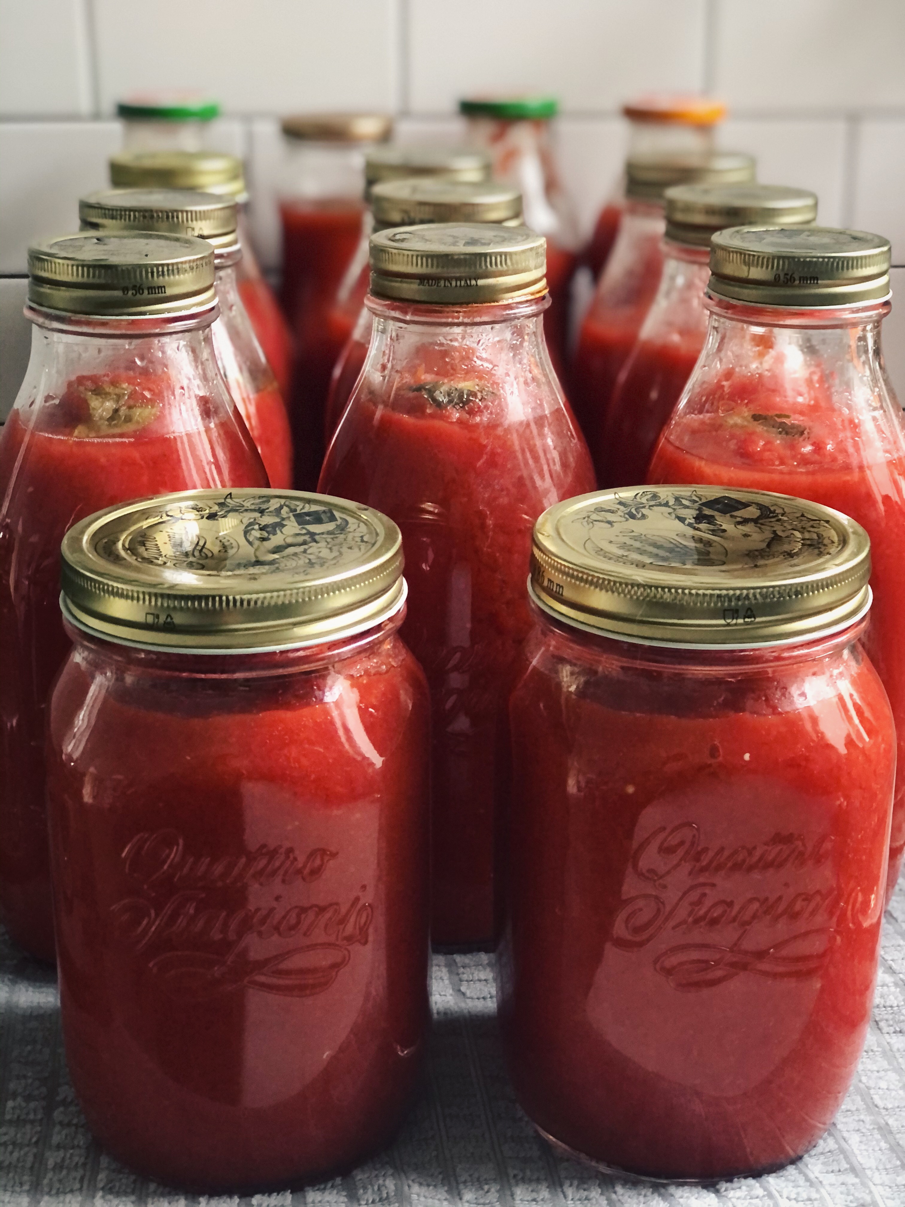 Bottled tomato sugo, put up for the year